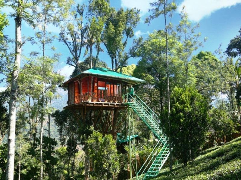 Dream Catcher Resort Munnar Zewnętrze zdjęcie