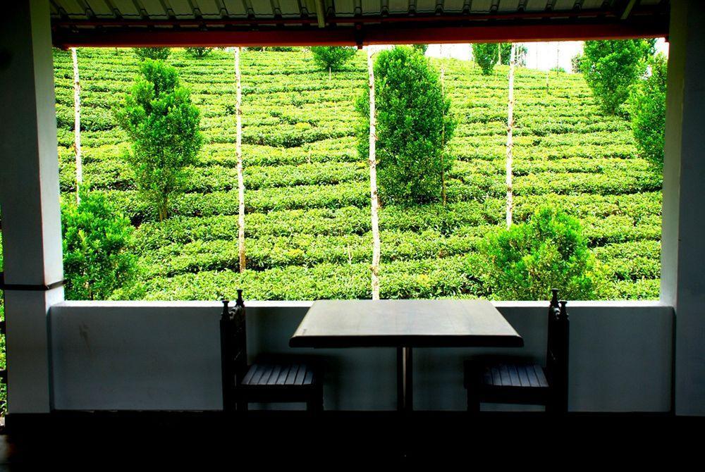 Dream Catcher Resort Munnar Zewnętrze zdjęcie
