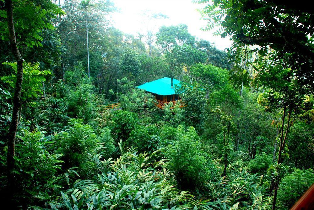 Dream Catcher Resort Munnar Zewnętrze zdjęcie