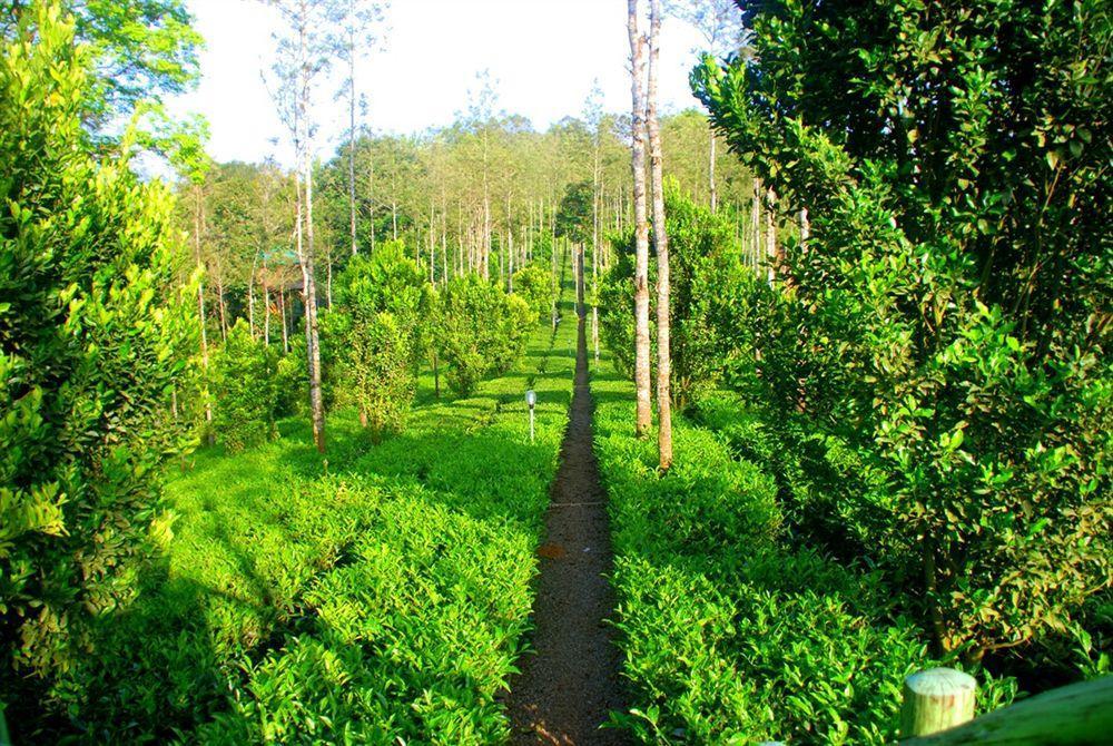 Dream Catcher Resort Munnar Zewnętrze zdjęcie