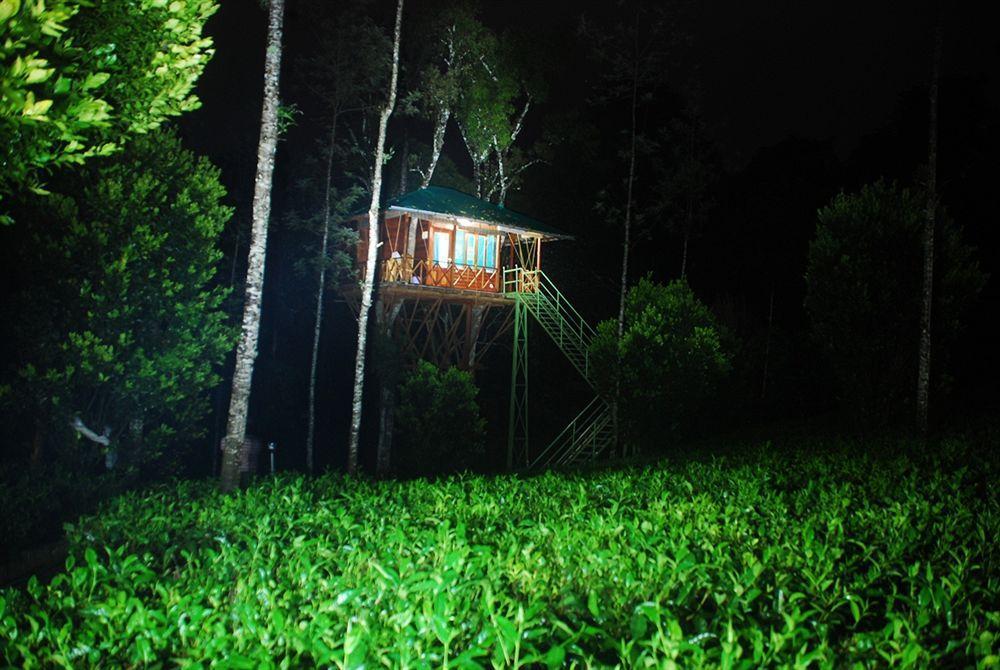 Dream Catcher Resort Munnar Zewnętrze zdjęcie