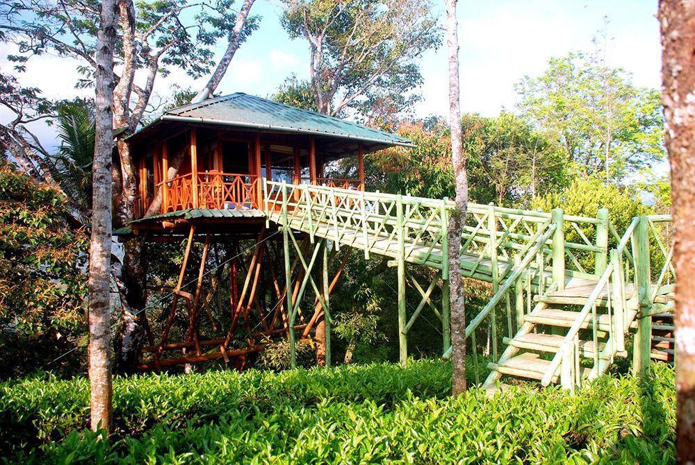 Dream Catcher Resort Munnar Zewnętrze zdjęcie