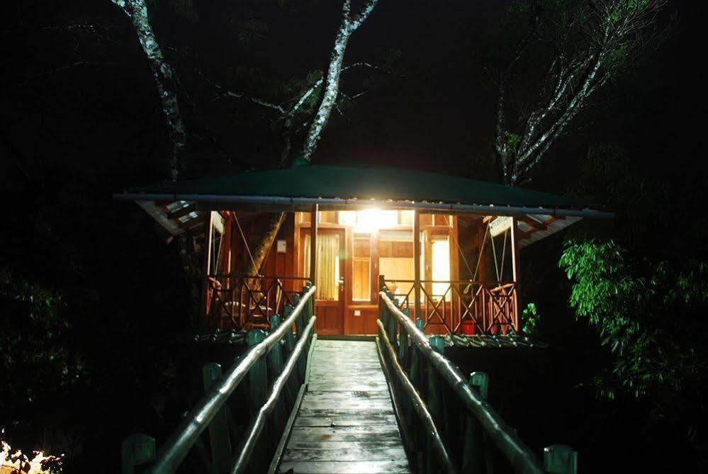 Dream Catcher Resort Munnar Zewnętrze zdjęcie