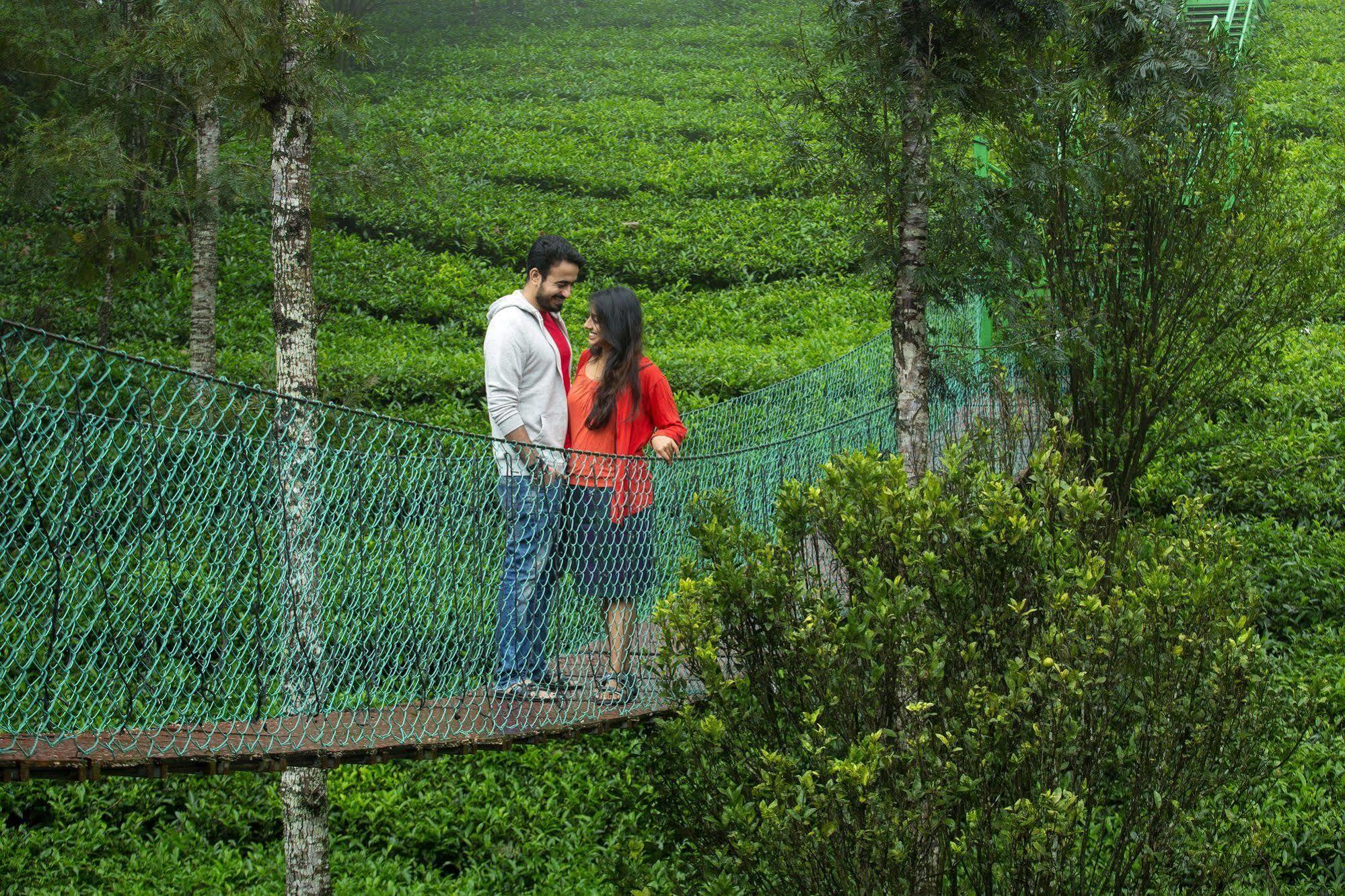 Dream Catcher Resort Munnar Zewnętrze zdjęcie