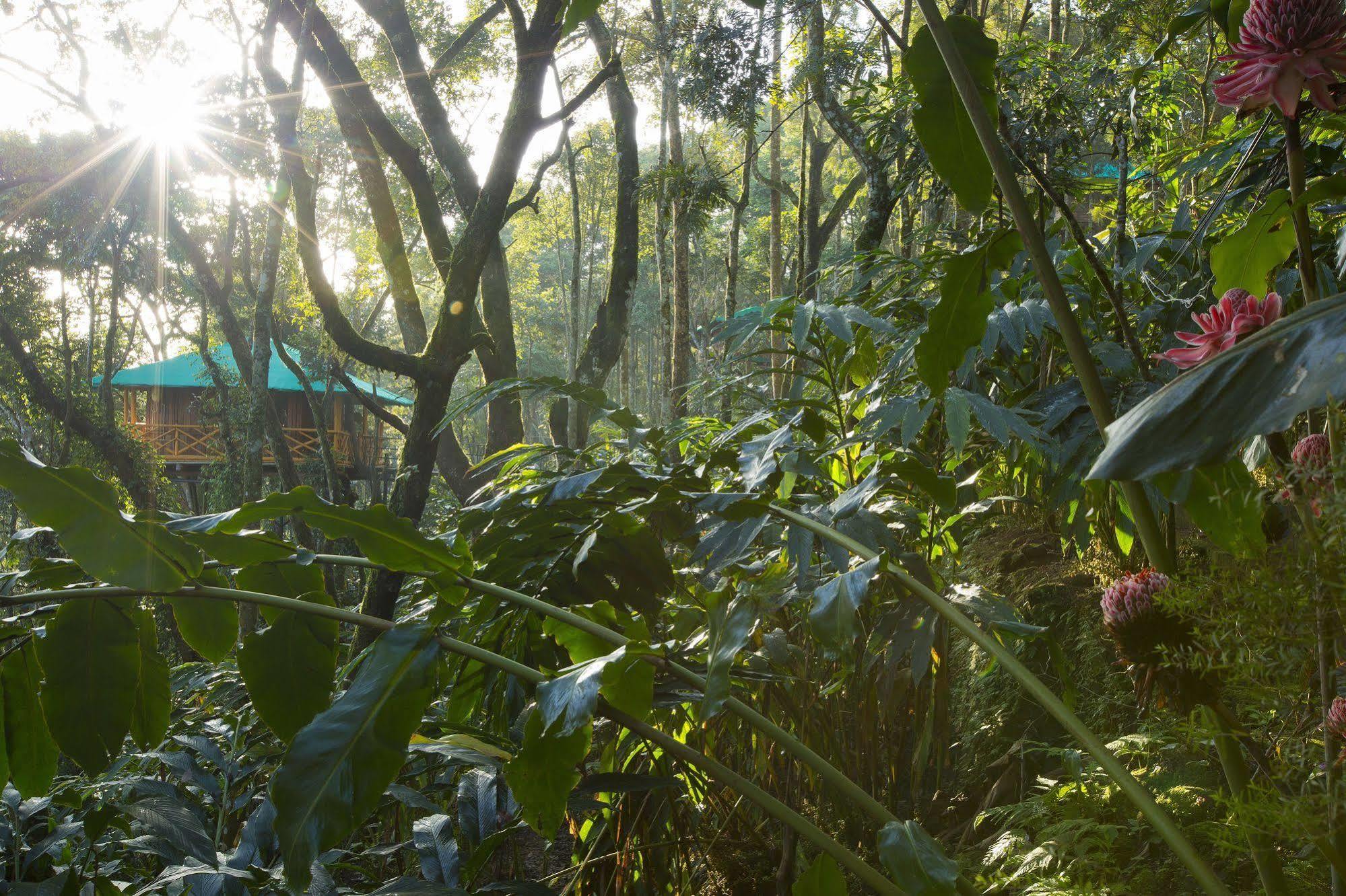 Dream Catcher Resort Munnar Zewnętrze zdjęcie