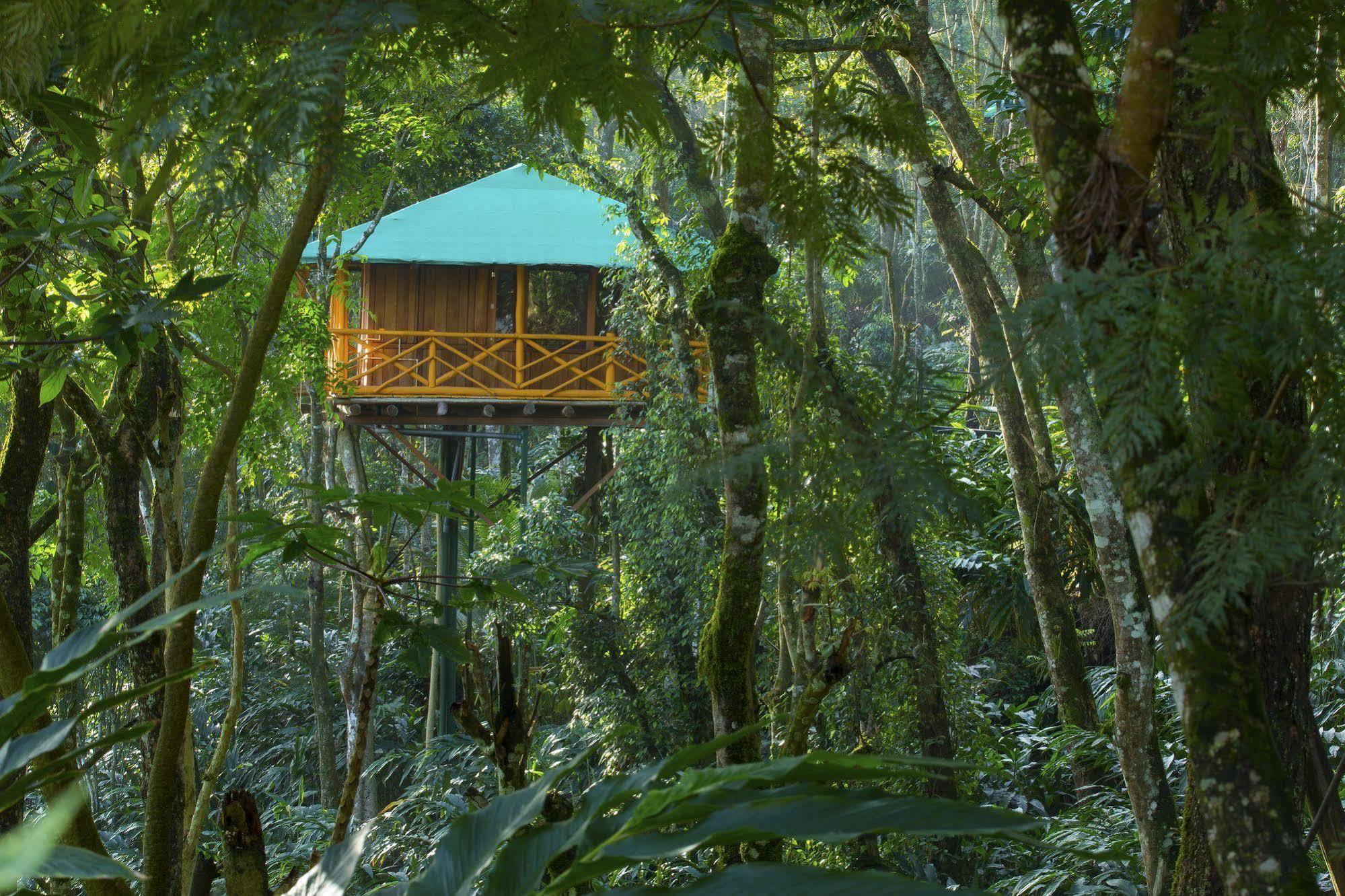 Dream Catcher Resort Munnar Zewnętrze zdjęcie