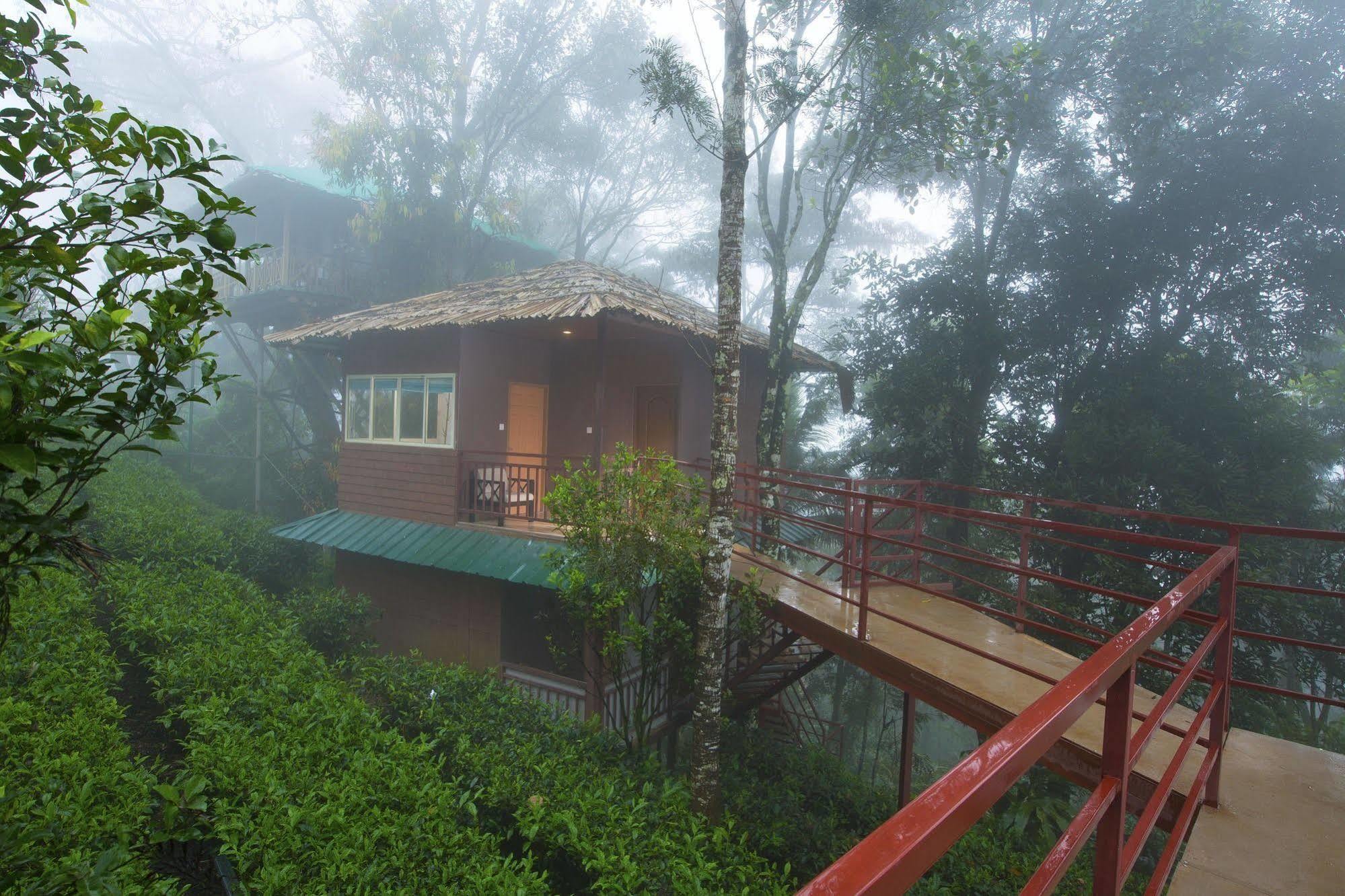 Dream Catcher Resort Munnar Zewnętrze zdjęcie